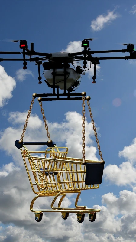 experimental-drone-delivery-project project gallery image 1
